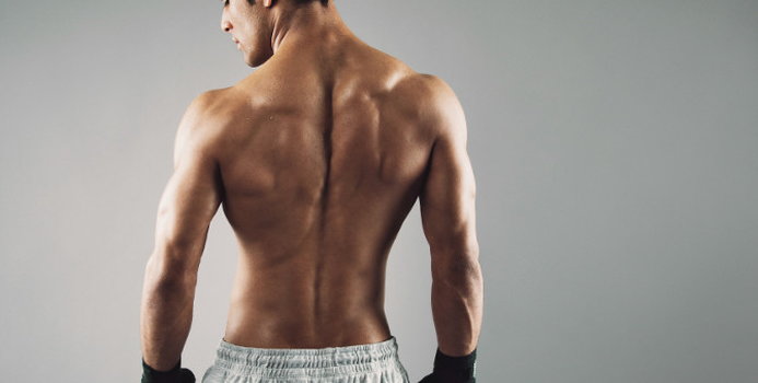 5 Ways to Work Out Your Back Muscles / Fitness / Exercises