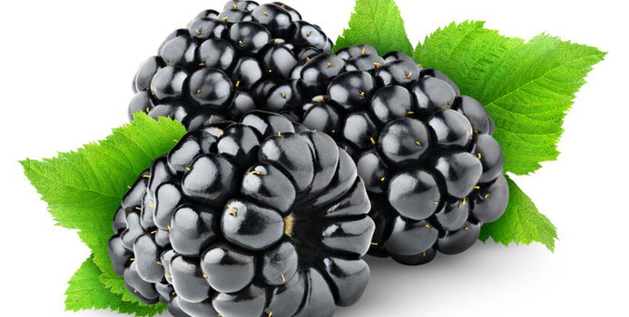 black berries berry_000016783246_Small.jpg