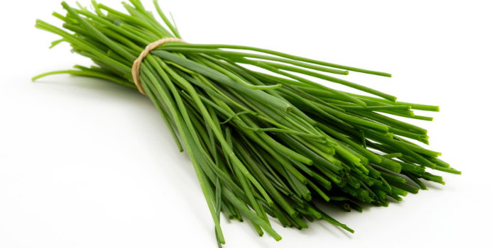 chives_000011265341_Small.jpg