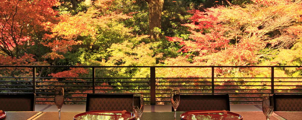 Experience the true Japanese Kaiseki cuisine over viewing the garden