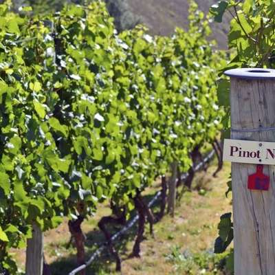 Otago, Invercargill, and Stewart Island