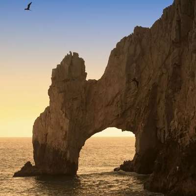 Los Cabos