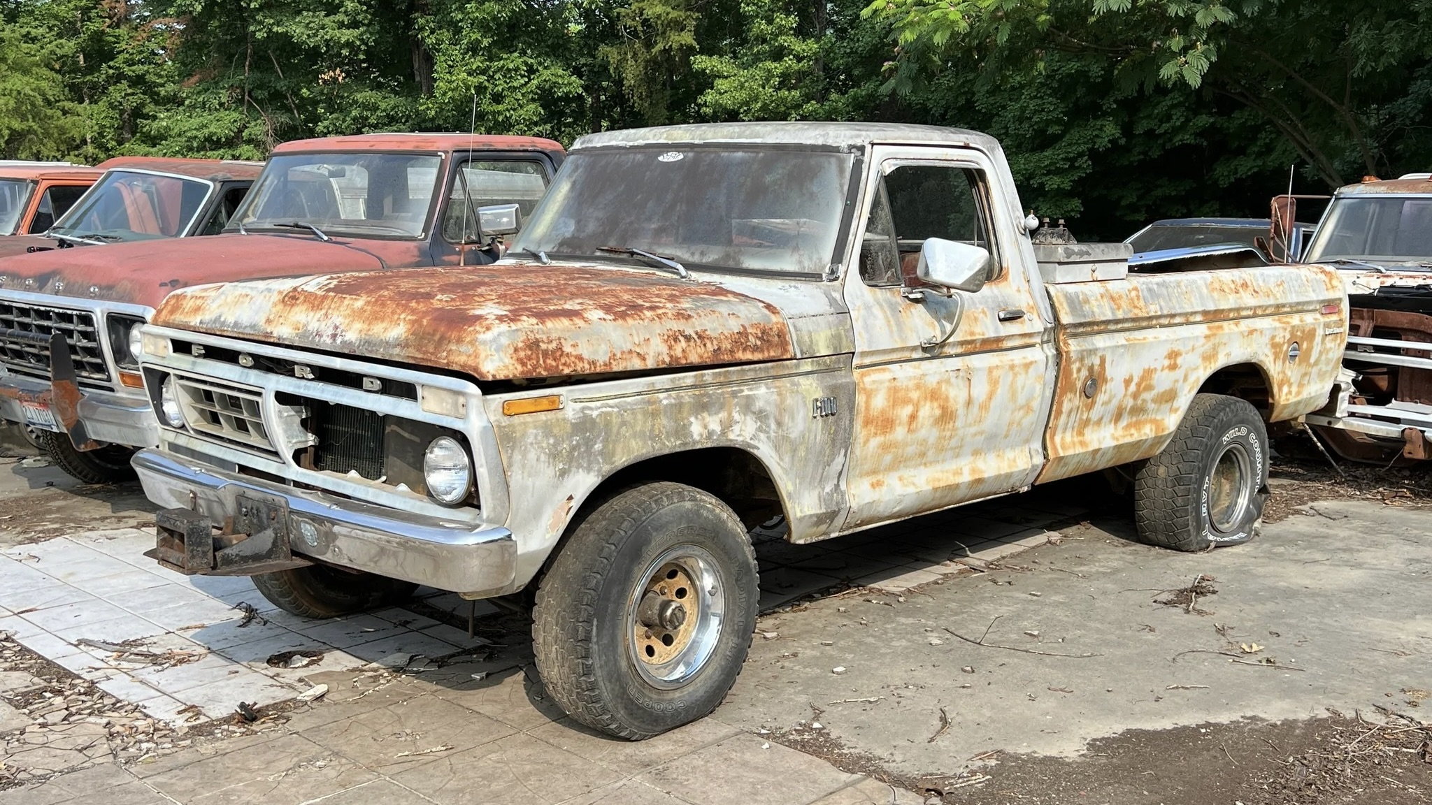 Check Out This Massive Collection Of 114 Vintage Ford Trucks Ford Trucks