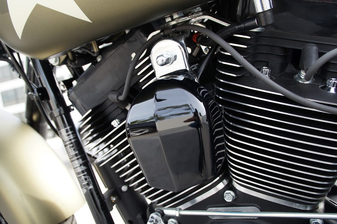 Harley Davidson Softail trim and covers
