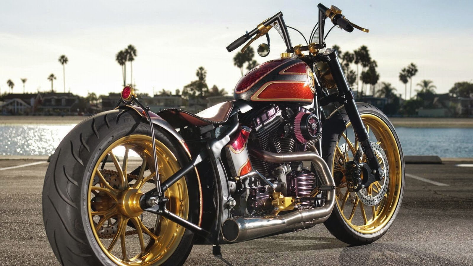 Custom modified Harley Davidson Softail