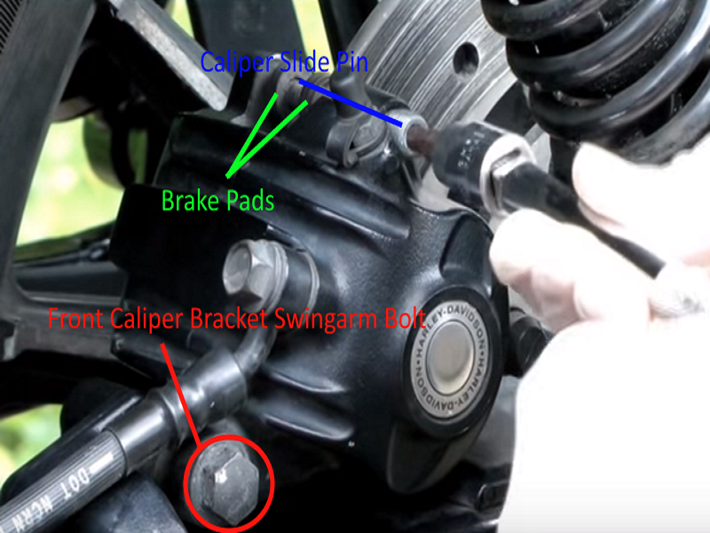 Location of the rear brake caliper on Harley Davidson