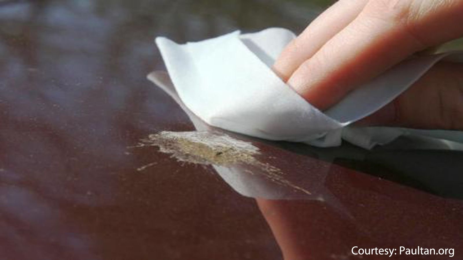 5 Ways to Keep Paint from Fading Faster Hondatech