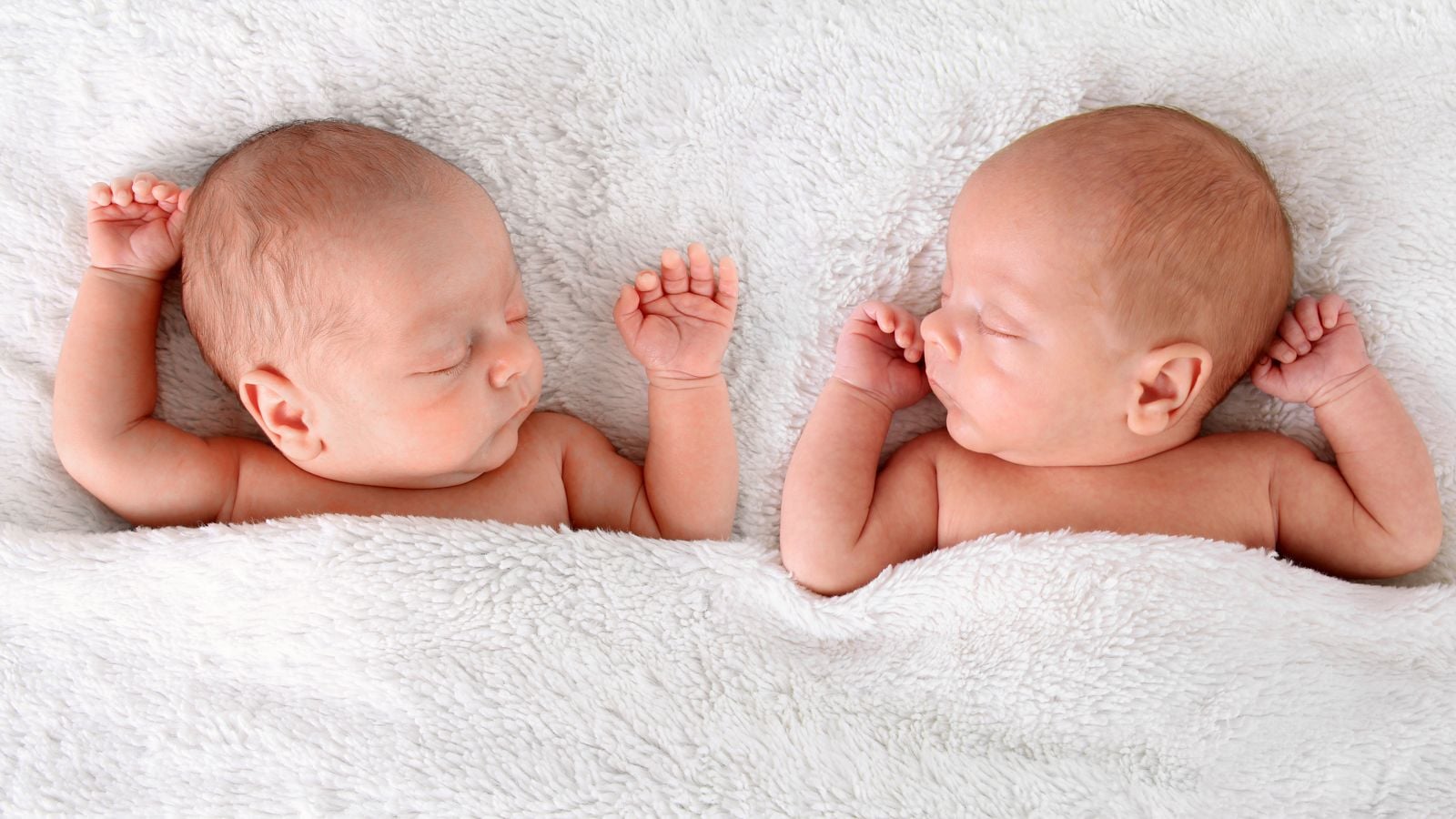 twin babies in blanket