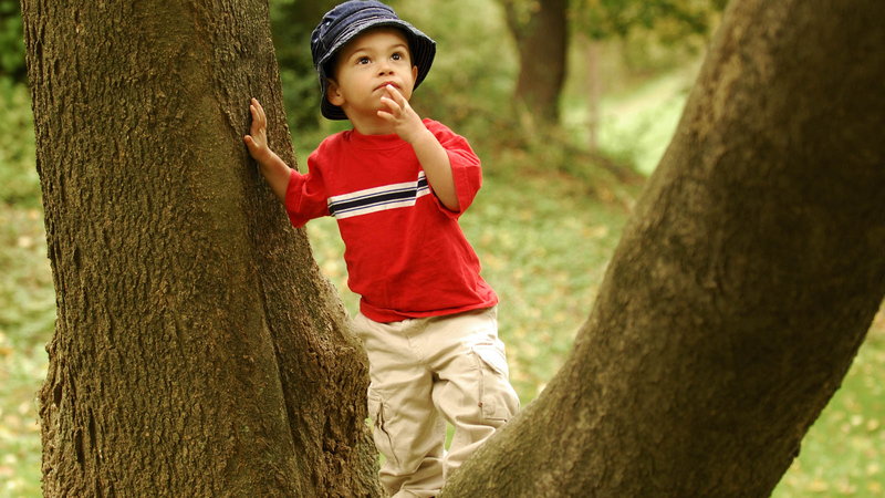 child playing in tree