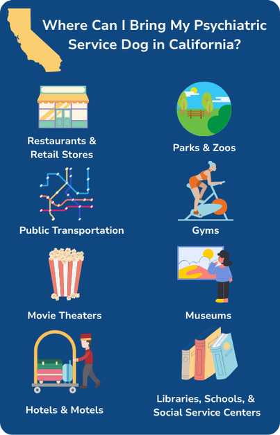 Tips for Safe Pet Stops During Trips: Essential Safety Hacks