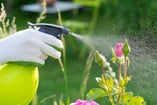 close up shot of someone's hands squeezing a water sprayer for watering plants