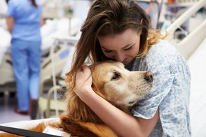 My Experience with Pet Therapy