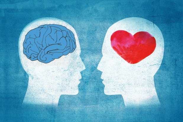 illustration of human mind and heart
