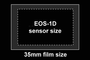 Canon EOS-1D Pro SLR.