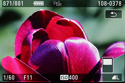 canon_eos_80d_play_zoom_anim.gif