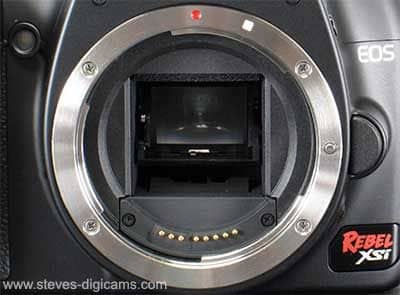 Canon EOS Digital Rebel XSi / EOS 450D, image (c) 2003 Steve's Digicams