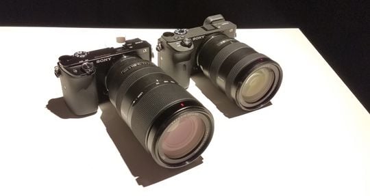 Sony a6100 and a6600