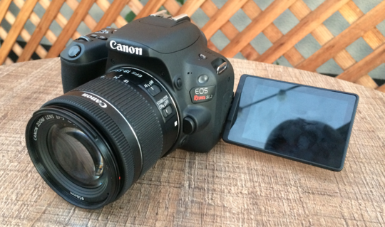 Canon rebel SL2 with screen out.png