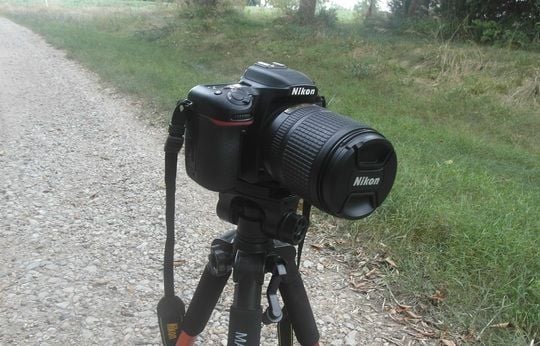 Nikon D7500 on tripod.jpg