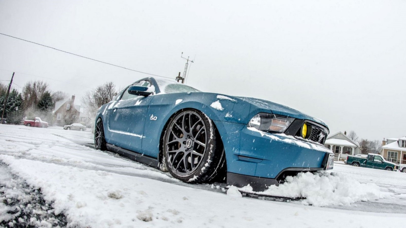 10 Mustangs Playing in the Snow | Themustangsource