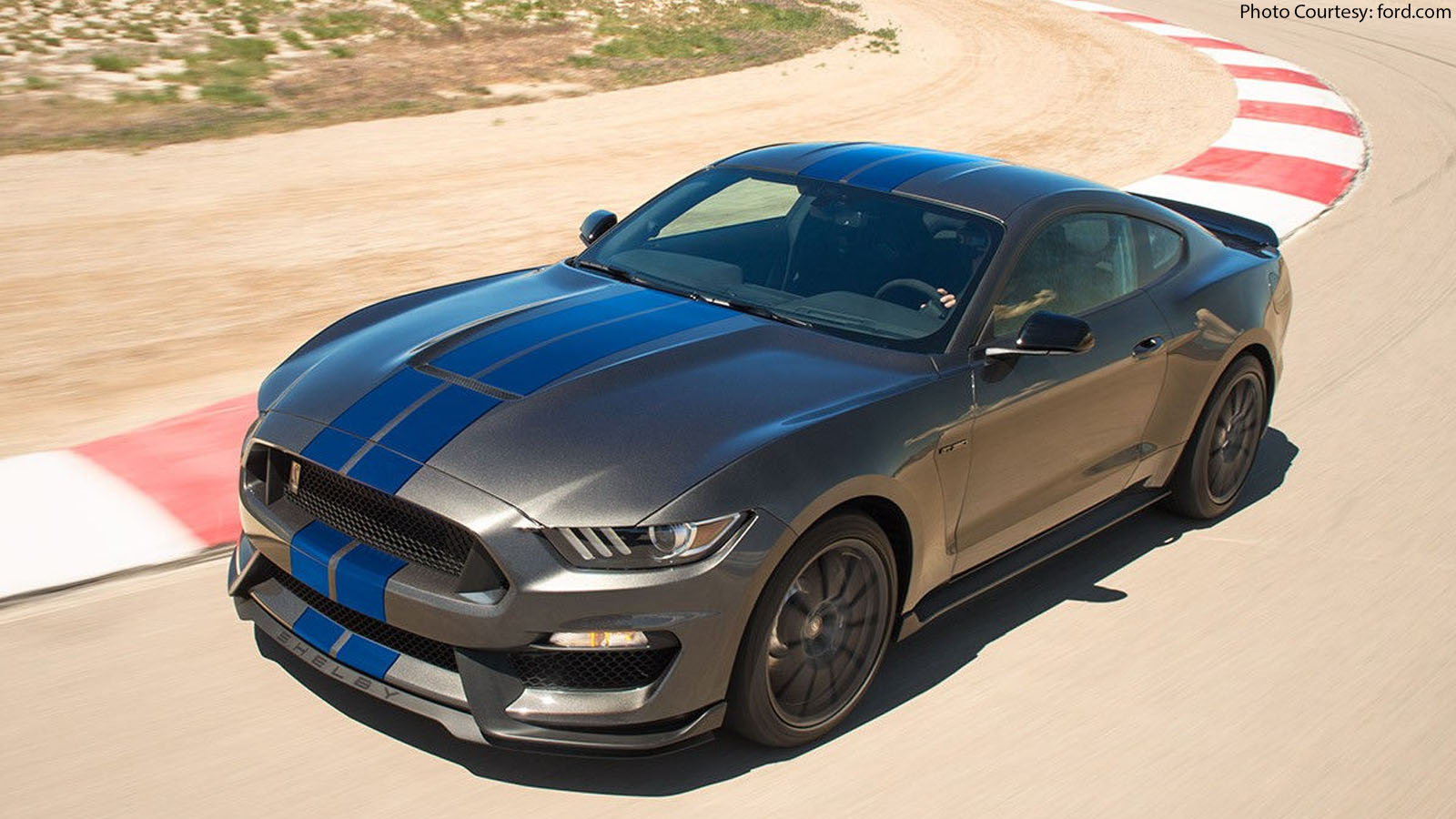 ford car named after horse Deciphering themustangsource - Nail Polish