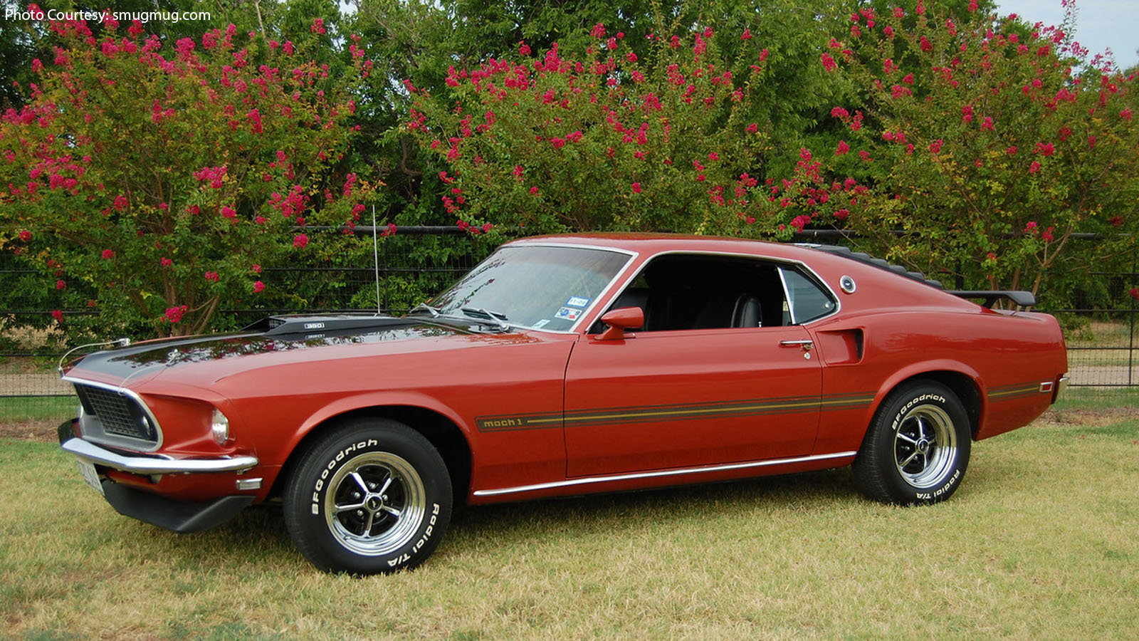 Top 9 Historic Mustang Colors That Should Return | Themustangsource