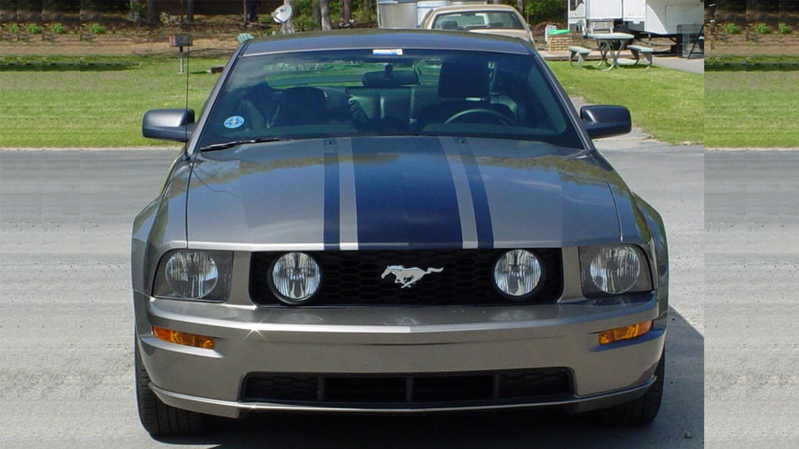 7 Stripe Options for the S197 | Themustangsource