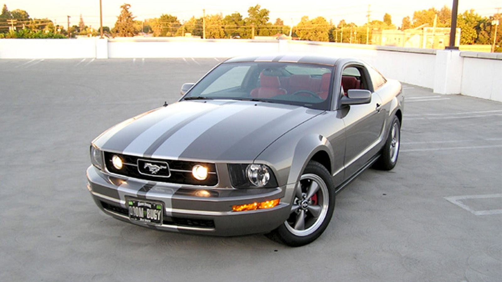 7 Stripe Options for the S197 | Themustangsource