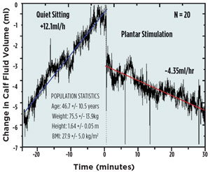 Figure 1: Effect of plantar micromechanical stimulation on lower limb fluid pooling in adult women.