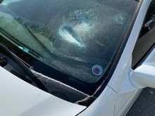 My Post Pictures