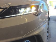 LED fogs in