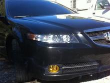 new fogs