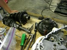 working on the transmission