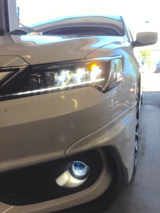 LED fogs in