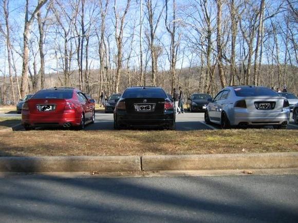 types rears