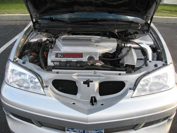 Painted Engine Bay