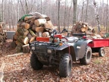 Working Cat--My ATV comes in  handy in hauling firewood from the woodlands around my home.