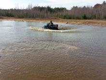 moose crossing a deep puddle