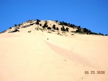 Find me on Sand Mountain, Little Sahara Utah!                                                                                                                                                           