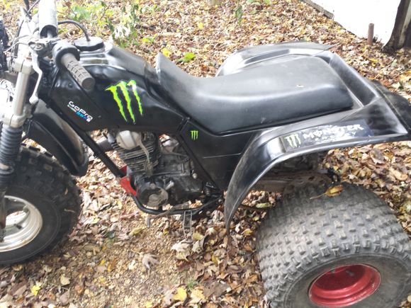 1983 honda 200x rebuilt new piston, rings, timing chain, and valve work done. Now needs a new clutch. Working on that now. New fog lights just put on oct. 24th.