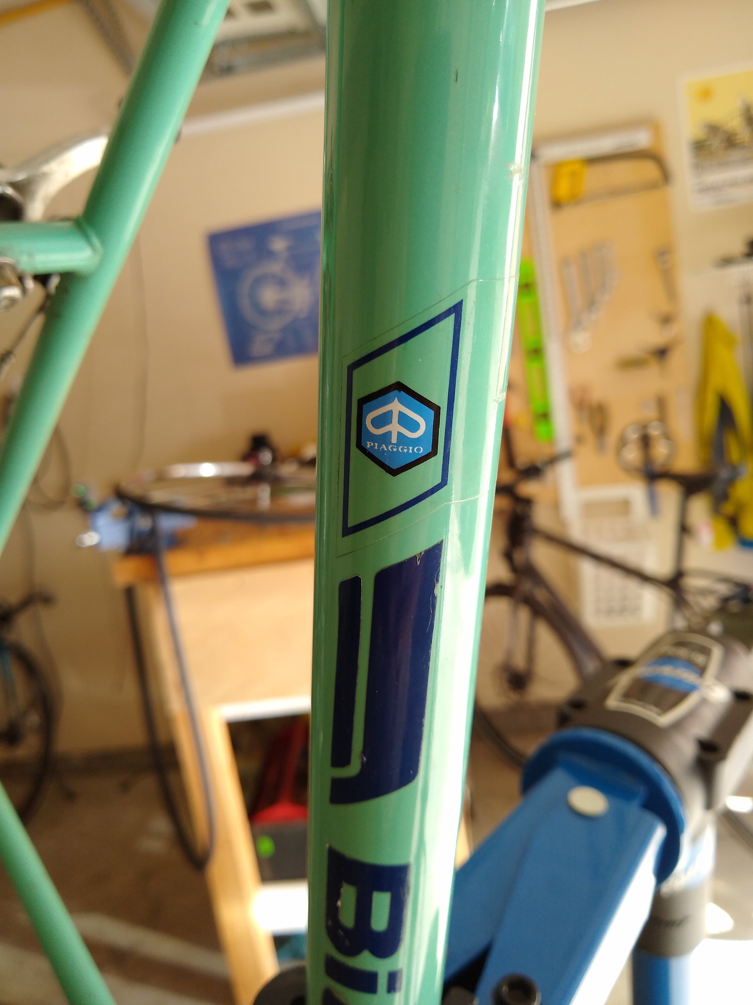 bianchi bicycle serial numbers