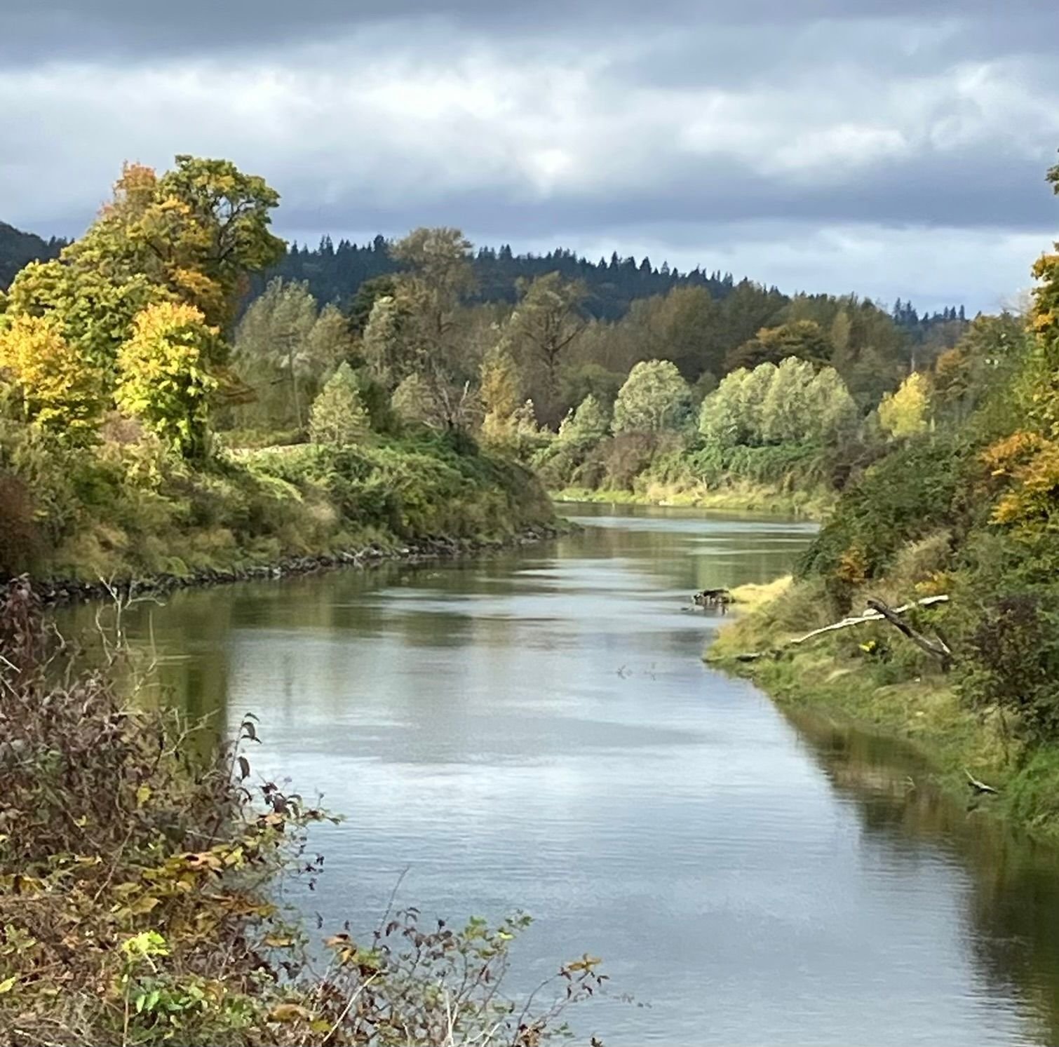 Snoqualmie River, WA Winter 2025