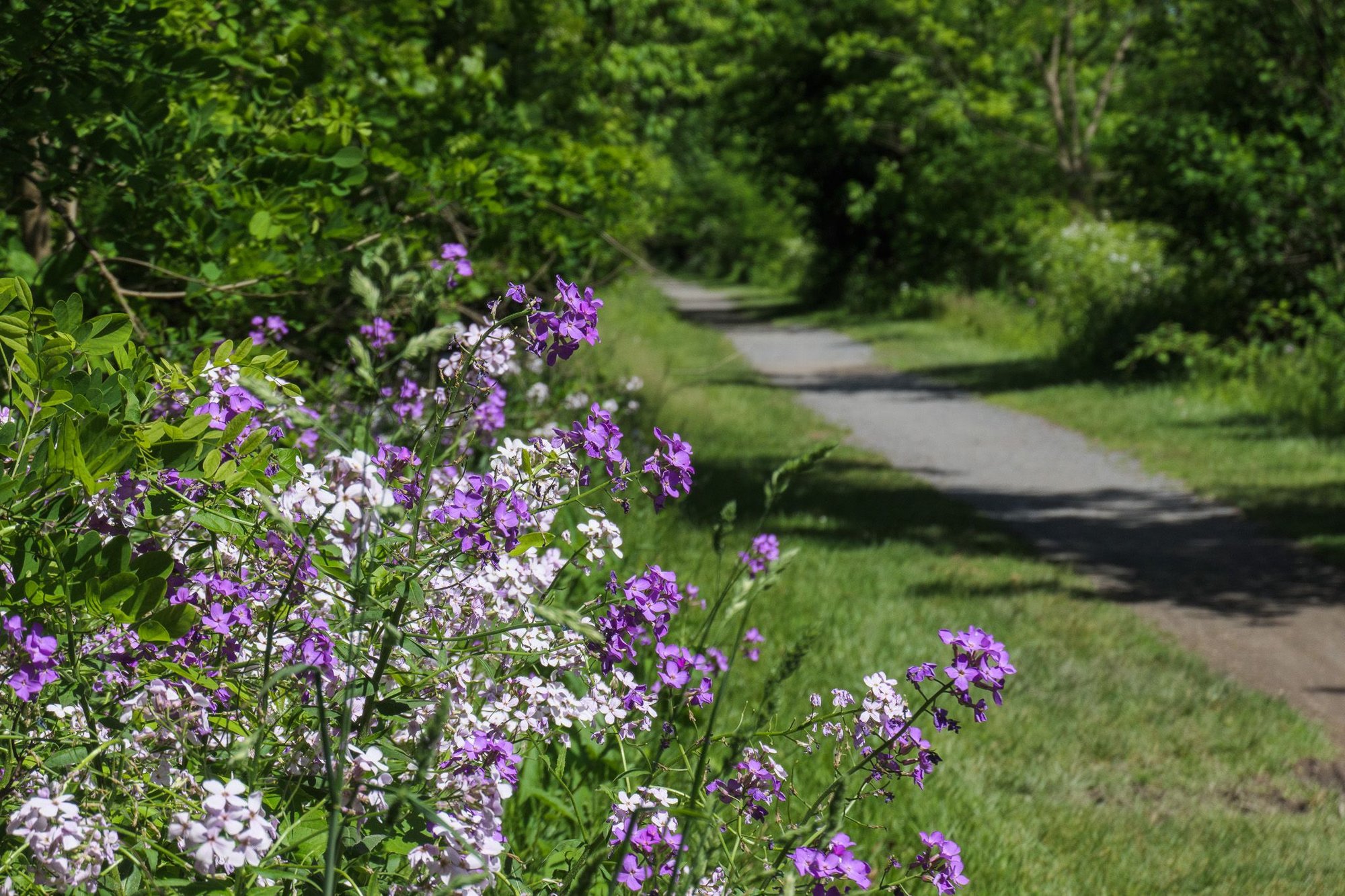 Along the C&O