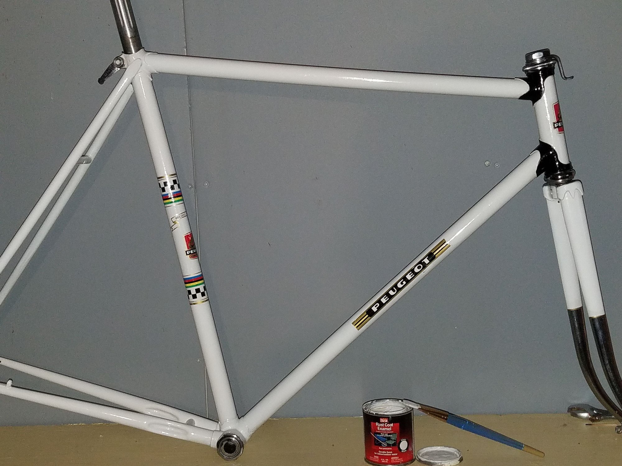 Bike Forums To paint or not to paint... the frame.