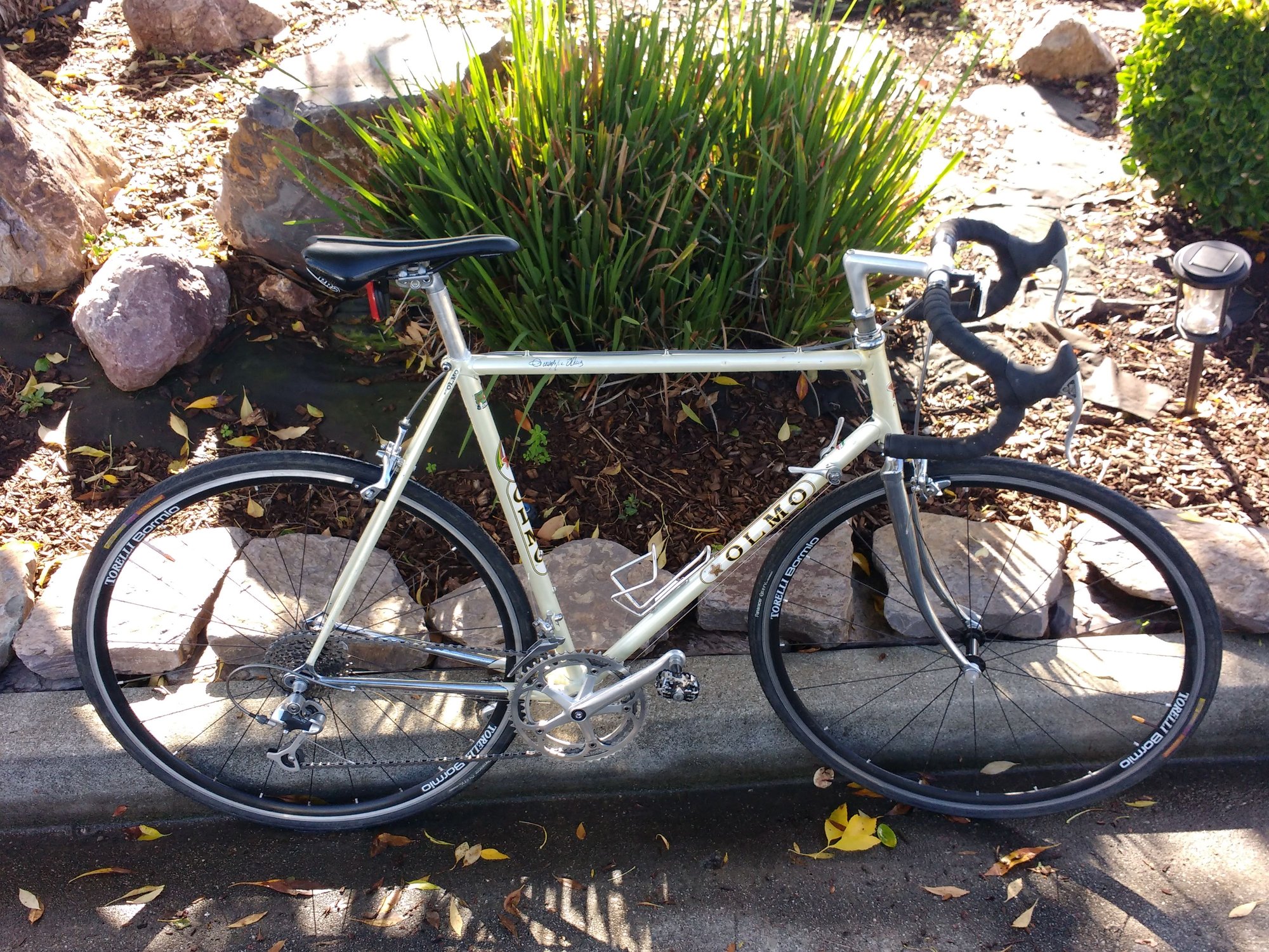 1985 Olmo Competition custom built hill climber - Bike Forums