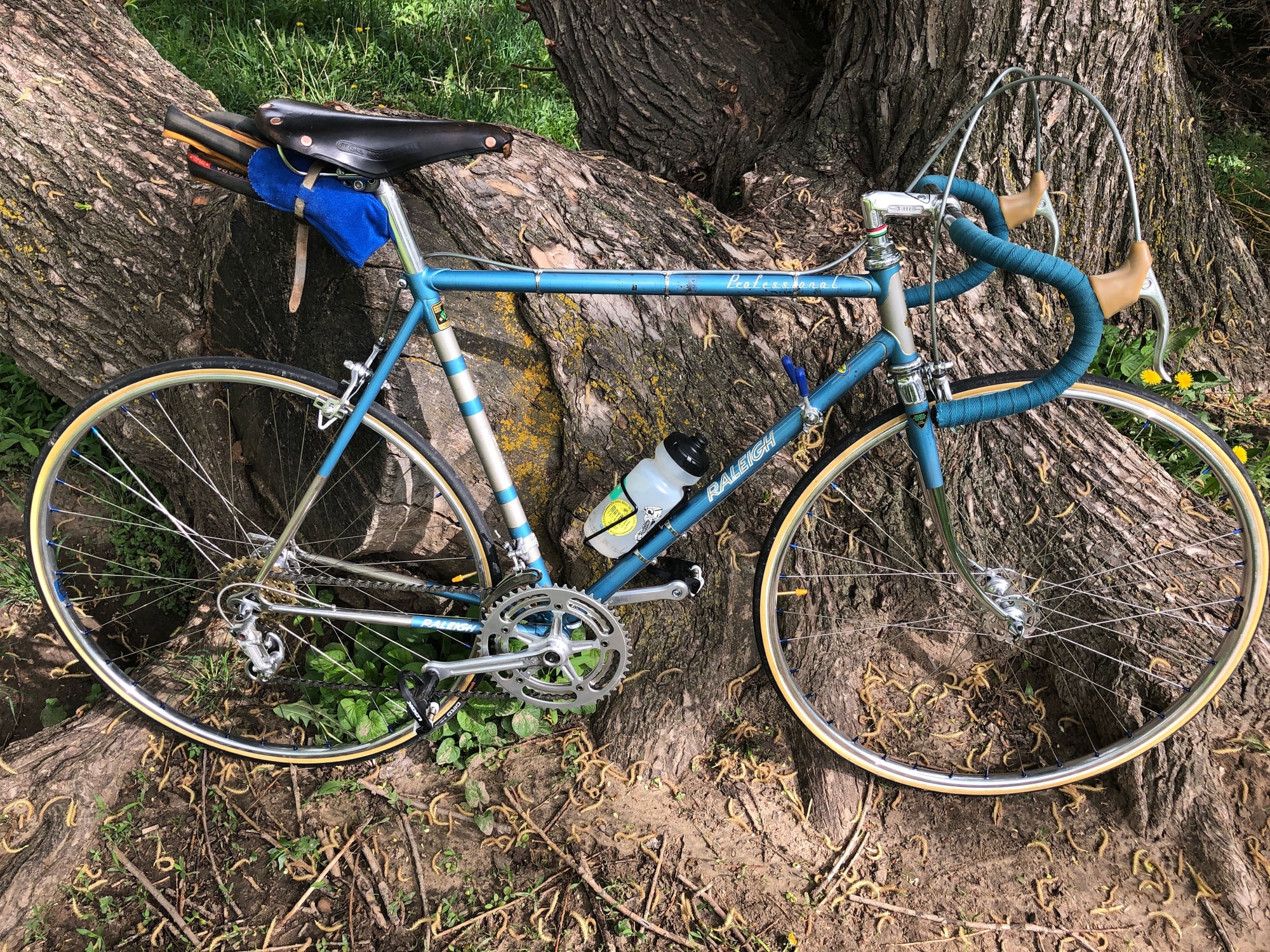 Bolts Bikes: 1978 Raleigh Super Course 59cm