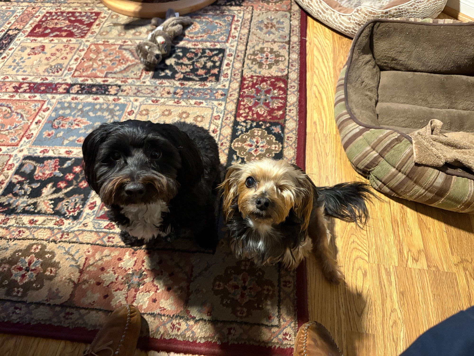 The gang….