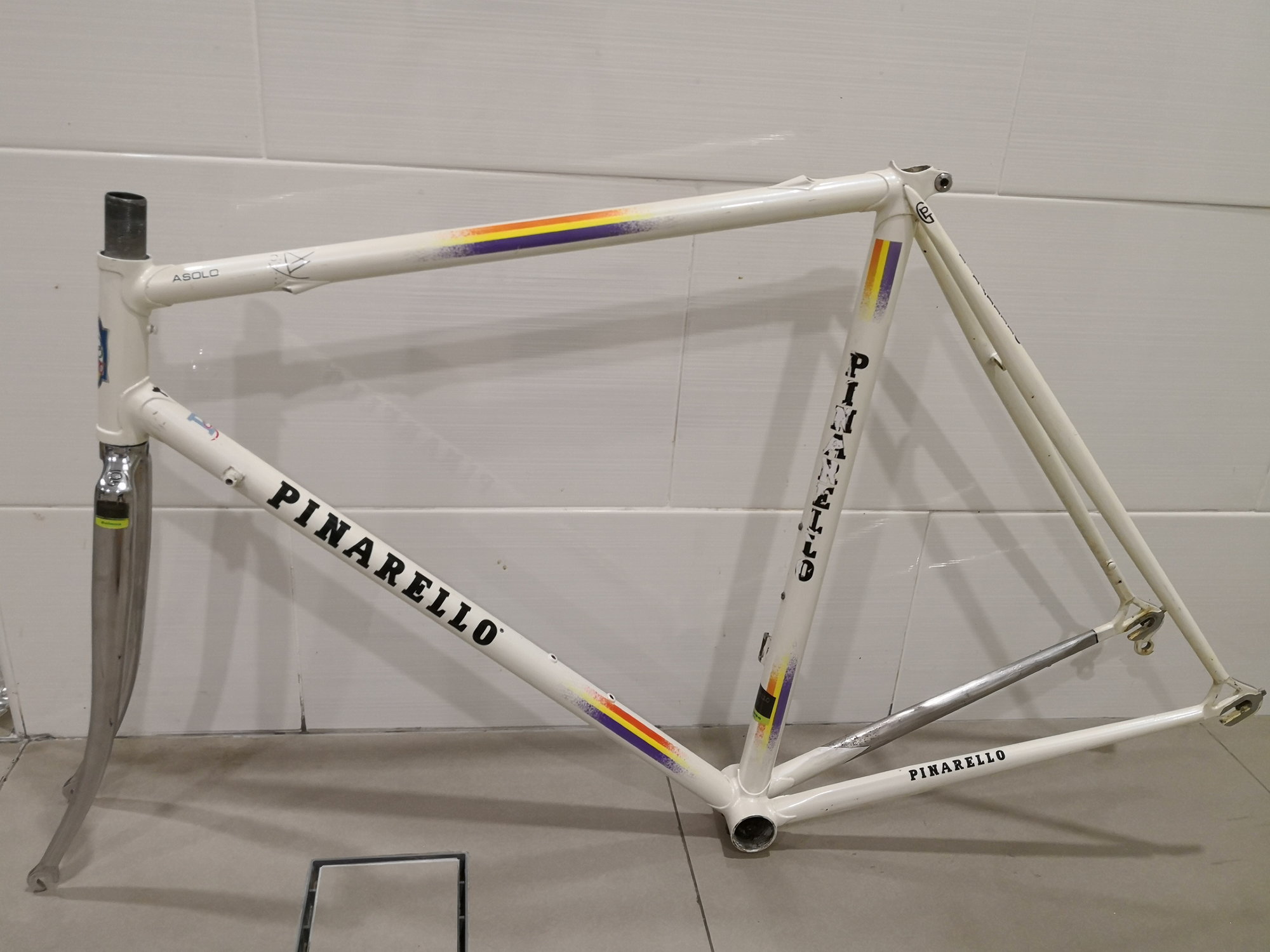 pinarello dynalite