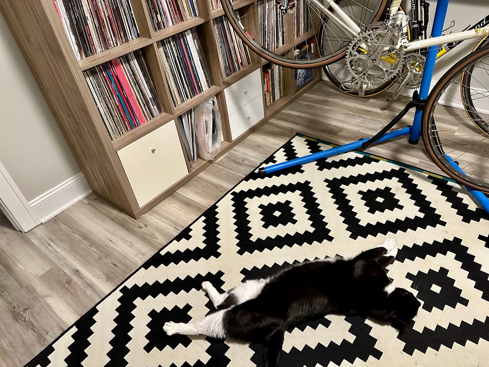 Work completed listening to The Meters under supervision of foreman Goose, who prefers harder rock.