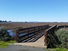View of mt Tamalpais...The sleeping lady